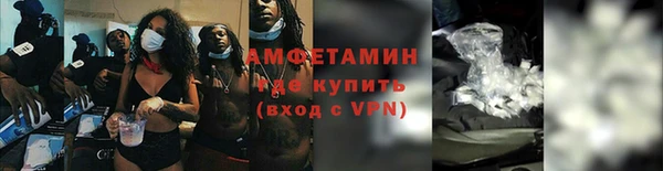 сатива Рославль