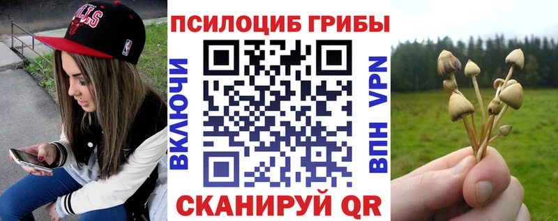 даркнет сайт Бологое Галлюциногенные грибы мухоморы